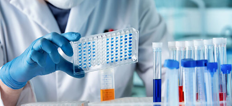 Pharma-&-Biotech